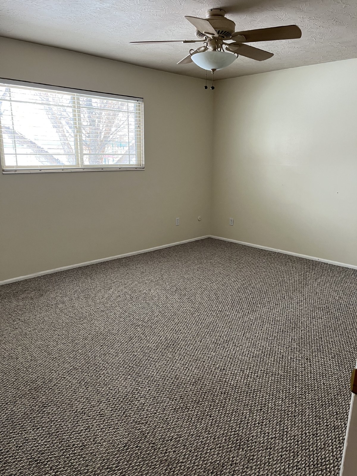 Spacious Home in Heart of St Anthony property image