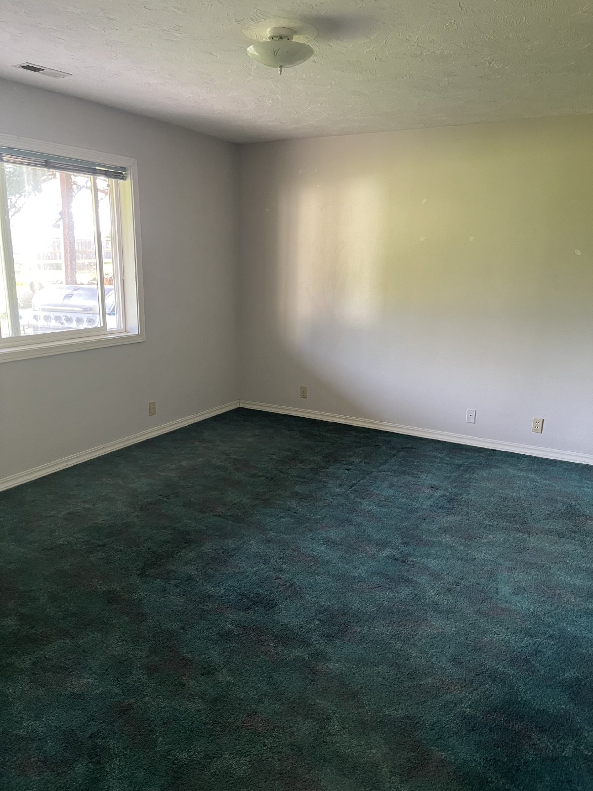 Adorable Basement Apartment property image