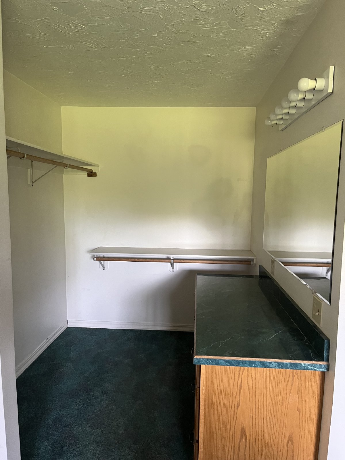 Adorable Basement Apartment property image