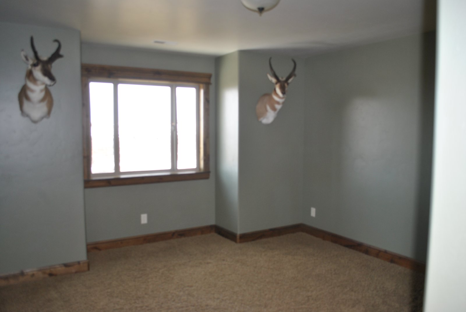 Beautiful, Awesome, Incredible and More property image