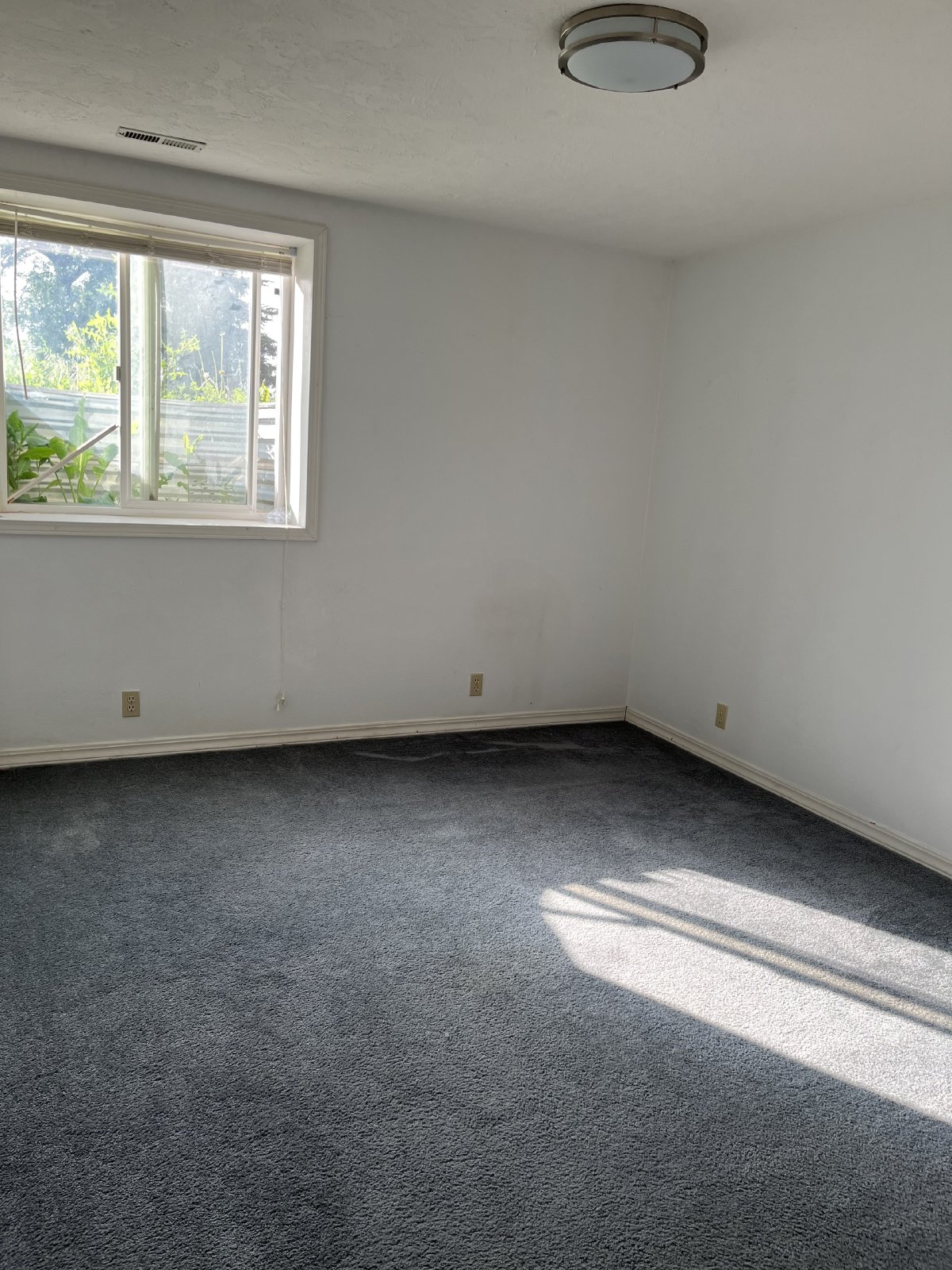 Adorable Basement Apartment property image