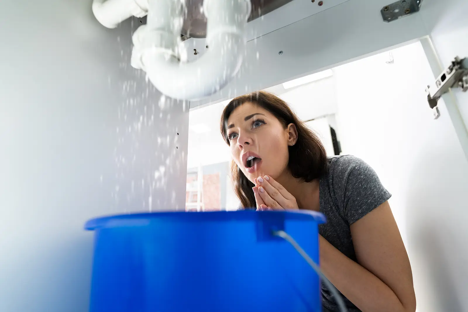 Freeze, Leak, Repeat? Not Anymore—Smart Maintenance for Teton Valley Rentals